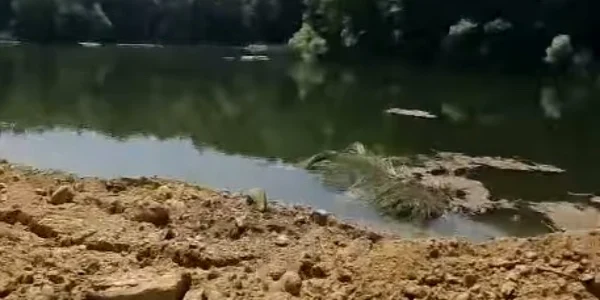 lac slvilesti