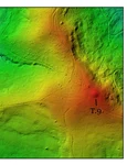 Necropolă tumulară descoperită într-o pădure din Neamț (© Facebook / Vasile Diaconu – archaeologist)