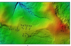 Necropolă tumulară descoperită într-o pădure din Neamț (© Facebook / Vasile Diaconu – archaeologist)