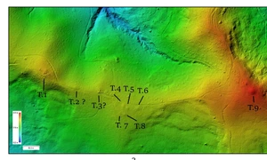 Necropolă tumulară descoperită într-o pădure din Neamț (© Facebook / Vasile Diaconu – archaeologist)