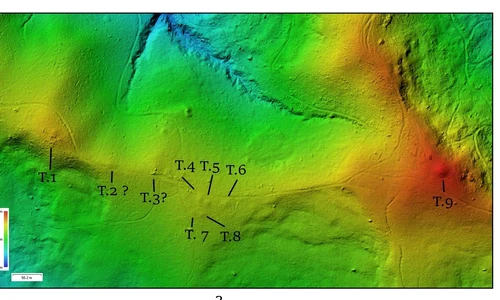 Necropolă tumulară descoperită într-o pădure din Neamț (© Facebook / Vasile Diaconu – archaeologist)