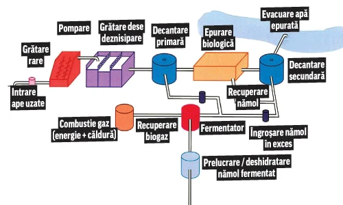 Substanţele poluatoare  sunt eliminate cu  ajutorul microorganis  melor, în 12 bazine jpeg