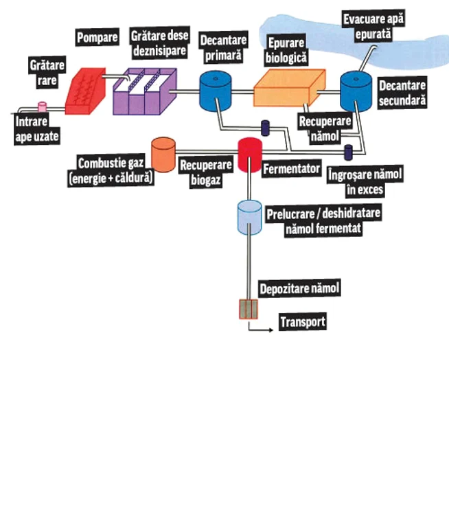 Substanţele poluatoare  sunt eliminate cu  ajutorul microorganis- melor, în 12 bazine