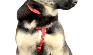 CLIIMA20140326 0148 1 jpeg