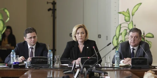 Carmen Dan audiata in Comisia privind protestul din 11 august