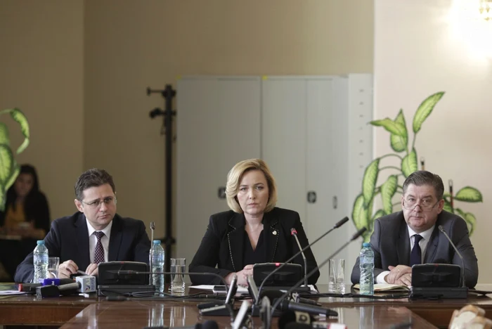 Carmen Dan audiata in Comisia privind protestul din 11 august