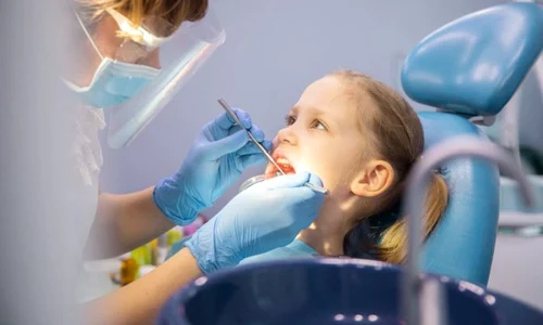 1 shutterstock 1034483362 jpg jpeg