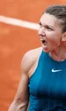 Halep Facebook jpg