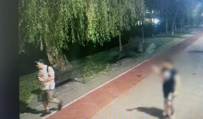 Piromanul din parcul IOR, arestat preventiv FOTO: imagini amator