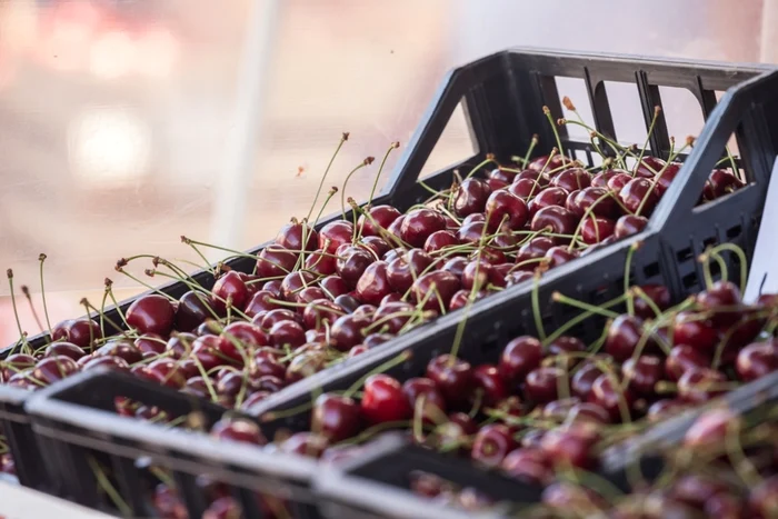 Au apărut cireșele în piețe / Foto: Shutterstock