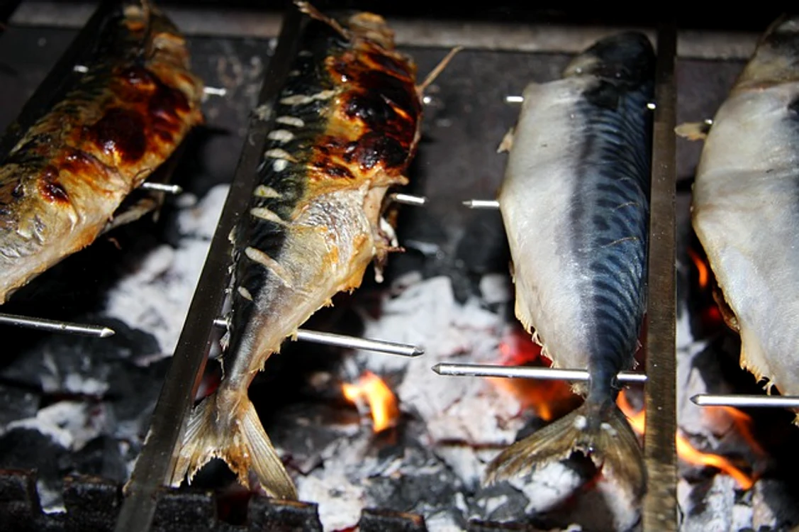 Macroul este considerat un super-pește grație valorii sale nutriționale și reprezintă una dintre cele mai importante surse de acizi grași Omega 3. foto: pixabay.com
