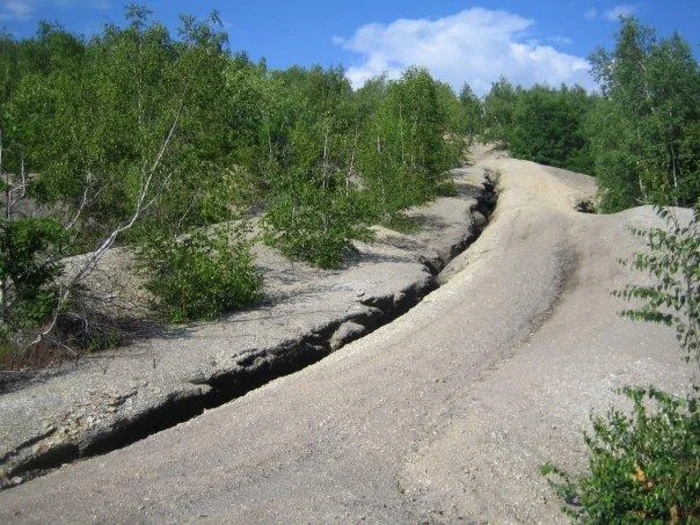 Scheletele unor peşti de acum  56 de milioane de ani, în Rezervaţia fosiliferă Marlauz, un monument al naturii