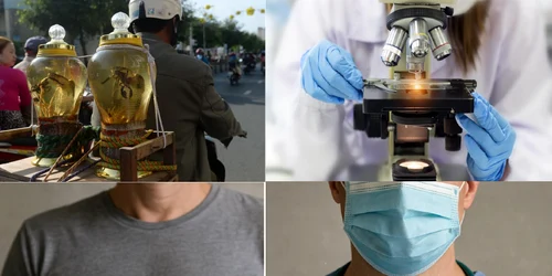Cancerul între iluzii de vindecare și realitatea științifică Colaj DMS