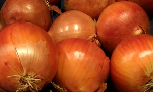 ceapa inabusita jpeg