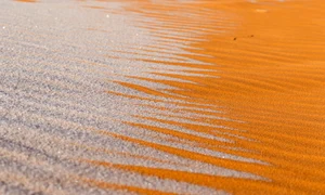 foto mare sahara profimedia 0651686812 (1) jpg