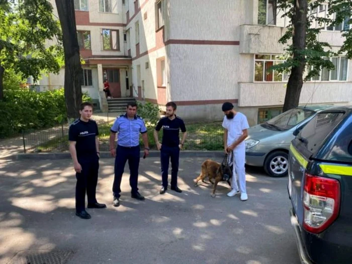 Câinele a fost îngrijit de veterinari FOTO botosaneanul.ro