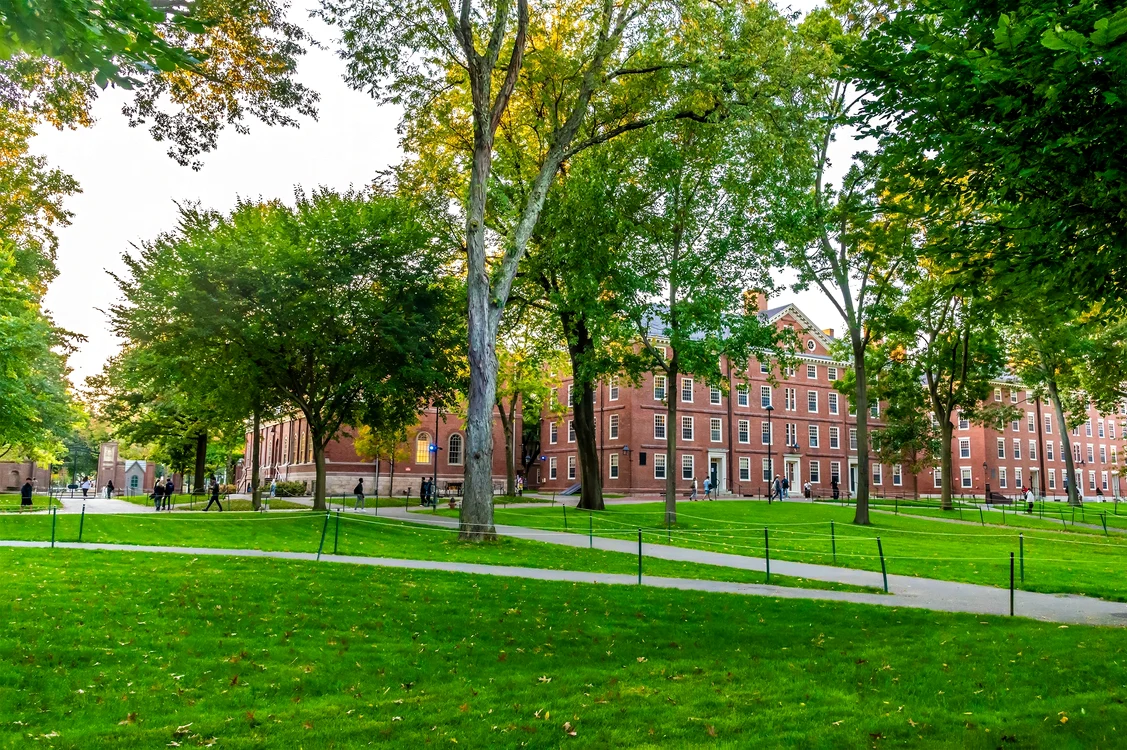 Studenții și tinerii cercetători de la Harvard se simt confuzi și panicați FOTO Shutterstock