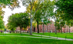 Studenții și tinerii cercetători de la Harvard se simt confuzi și panicați FOTO Shutterstock jpg