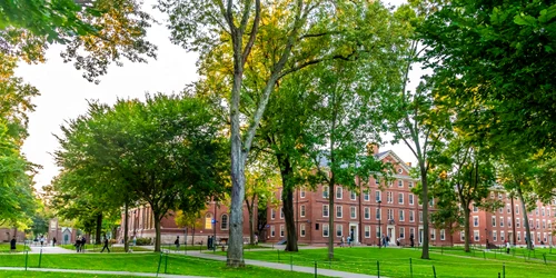 Studenții și tinerii cercetători de la Harvard se simt confuzi și panicați FOTO Shutterstock jpg