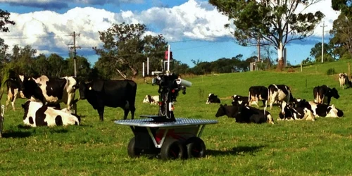robot paznic vaci foto universitatea din sidney