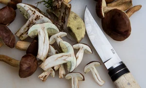 gathering 180715 1920 jpeg