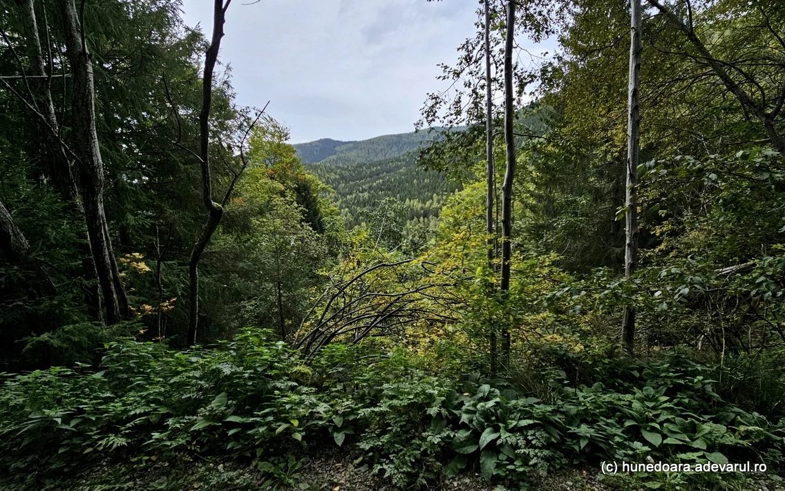 Cascada Lolaia si Valea Nucsoarei Pietrele din Retezat  Foto Daniel Guță  ADEVĂRUL (2) jpg