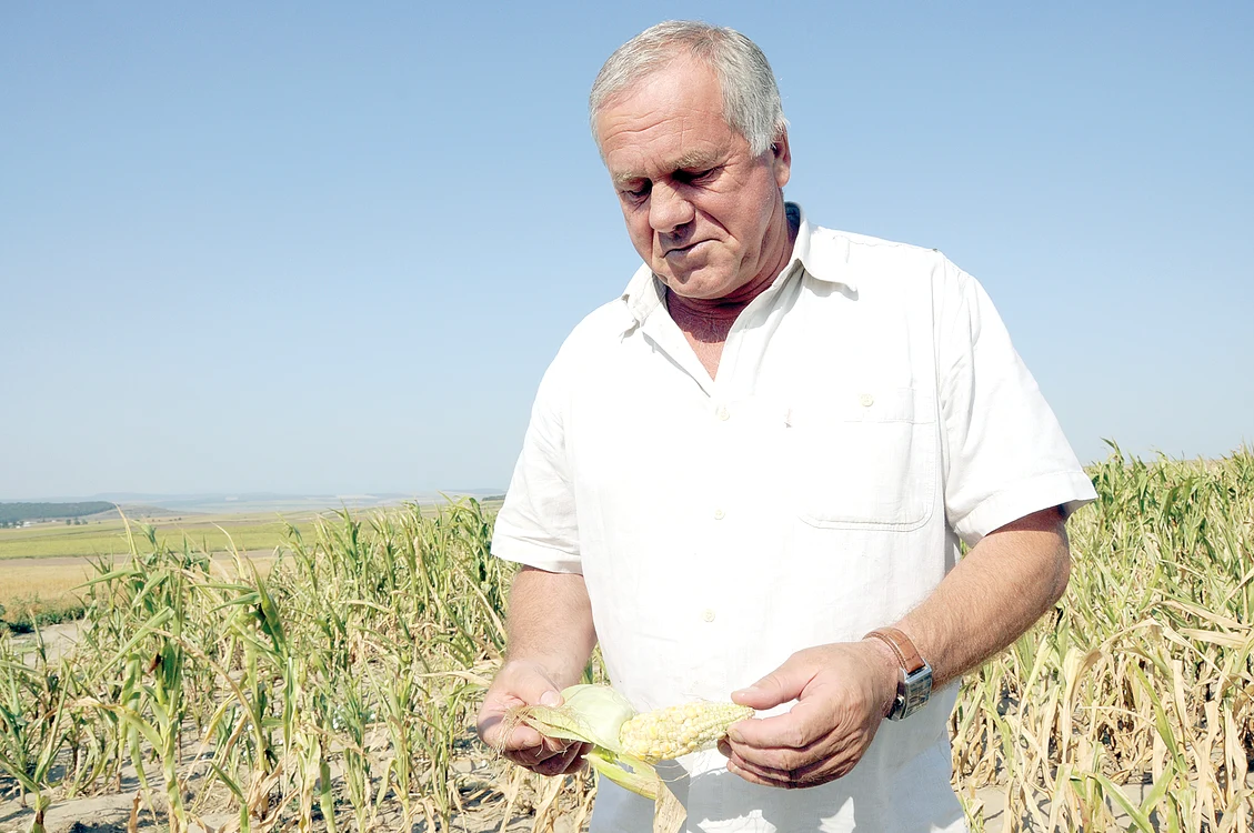 
    Laurenţiu Baciu, preşedintele unei asociaţii agricole, vrea să le facă plângere penală specialiştilor pentru că nu au avertizat că va fi secetă mare  