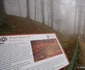 Parcul Natural Grădiştea Muncelului Cioclovina. FOTO