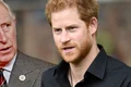 banner charles harry png