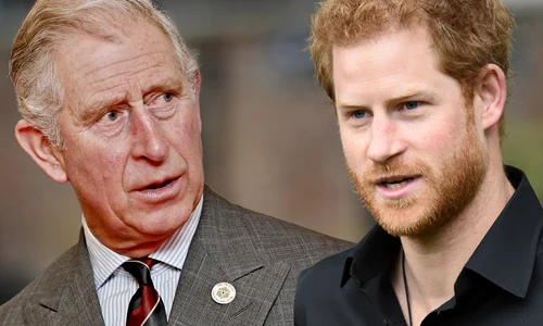 banner charles harry png