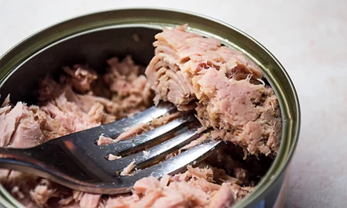 carne ton conserva istock jpg