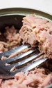 carne ton conserva istock jpg