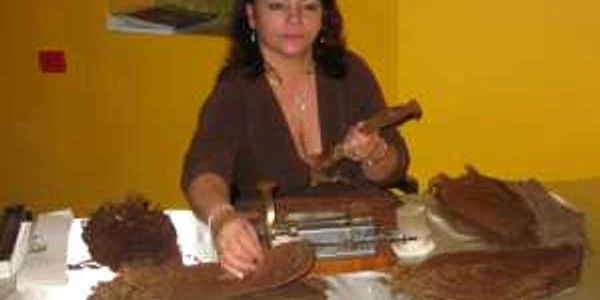 Carmen Luisa Rodriguez Loina la masa de lucru  