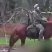 soldat ucrainean pe cal foto telegram ucraina 365 jpg