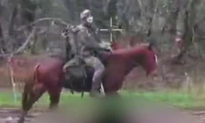 soldat ucrainean pe cal foto telegram ucraina 365 jpg