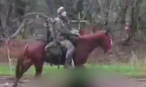 soldat ucrainean pe cal foto telegram ucraina 365 jpg