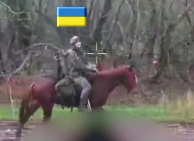 Ucrainenii capturează cai de luptă folosiți de armata rusă FOTO: Telegram/ Ucraina 365