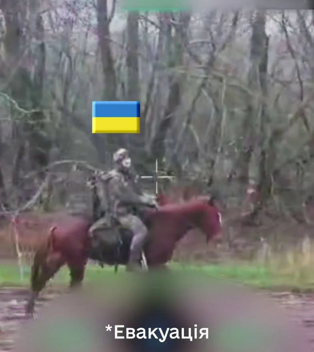 Trofee neobișnuite pe front: Ucrainenii au pus mâna pe caii de luptă folosiți de armata rusă