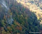 Drumul spre peștera din Valea Rea Foto Daniel Guță (3) JPG