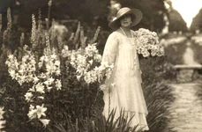 Regina Maria, florile și Armata „Soldatului român, în lungile sale marşuri, îi place să şi agaţe o floare după ureche” jpeg