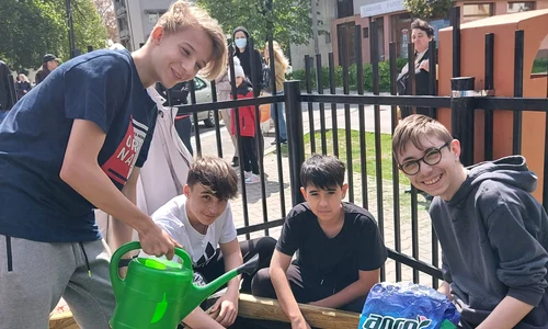 Gust pentru sănătate acțiuni jpg