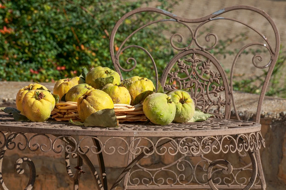 Gutuile sunt foarte bune pentru sănătate / foto: Pixabay
