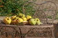 quince 3747516 1280 jpg