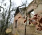 Vadu Dobrii, Hunedoara  Foto Daniel Guță  ADEVĂRUL (17) JPG