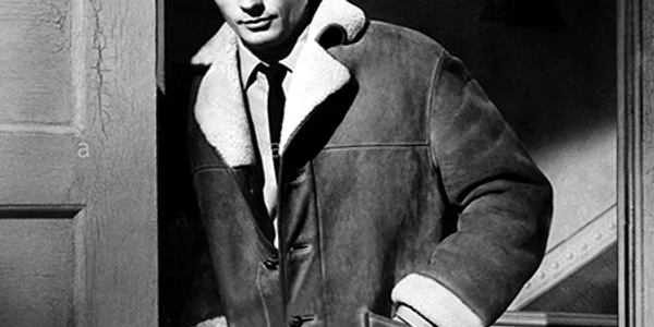 alain delon jpg