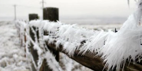 Gorj: Zăpadă şi temperaturi de -5 grade Celsius în acestă dimineaţă!