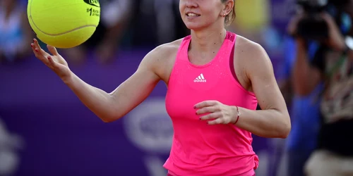 simona halep monica niculescu FOTO Mediafax