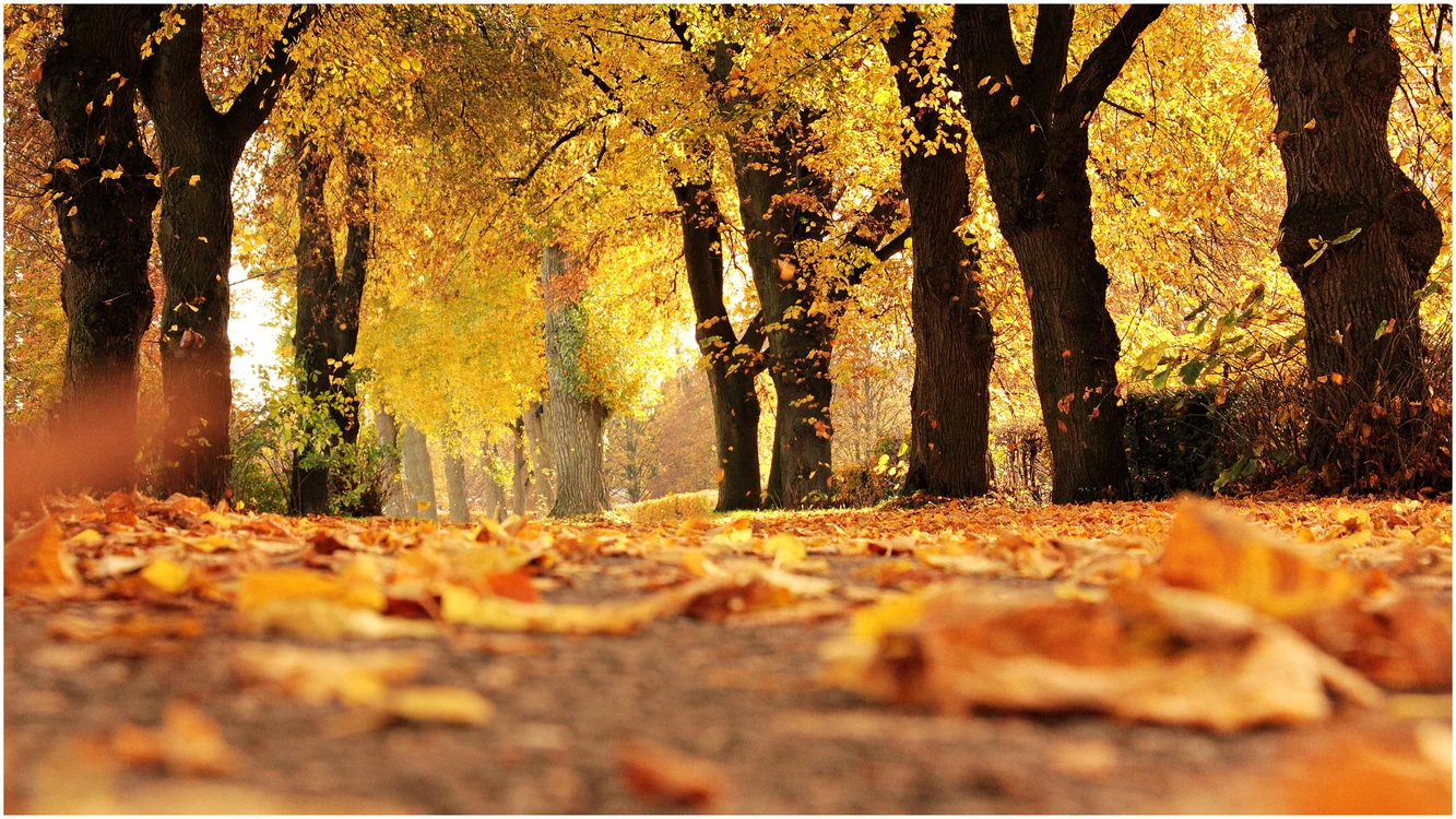 Ce temperaturi ne așteaptă în luna octombrie