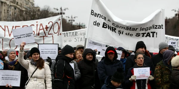 curs-franci-elvetieni-protest-bucuresti FOTO Dorin Constanda