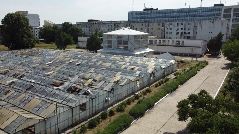 Sera verticală inventată la Stațiunea Legumicolă Buzău, de cinci ori mai profitabilă decât una clasică VIDEO